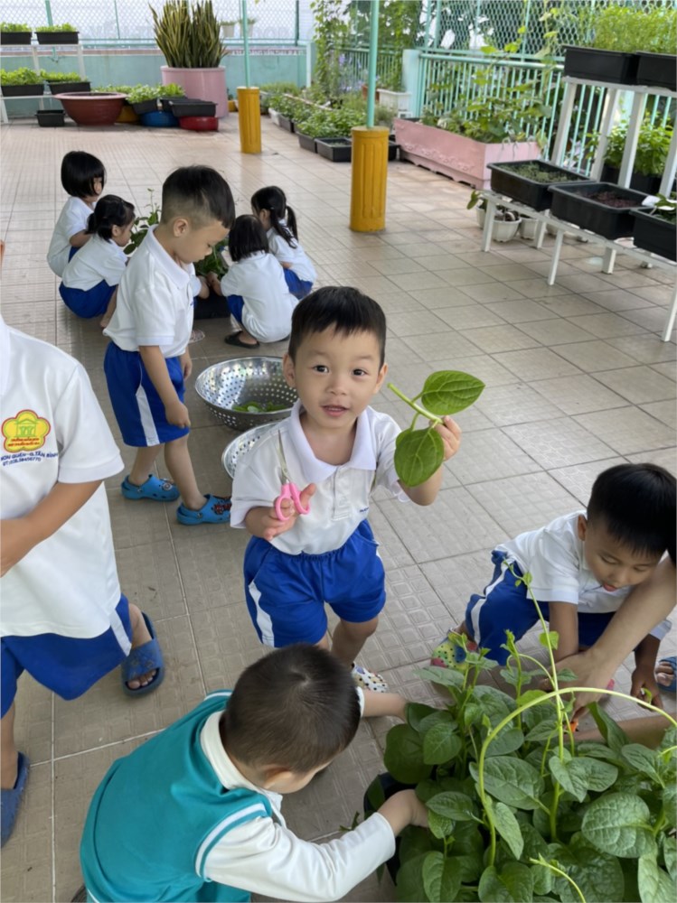 Ảnh đại diện
